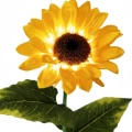 Lampka Solarna Sunflower 3000K IP44 EKO2494 Eko-Light