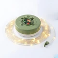 Lampka Solarna Corda 9000K + 8m 3000K IP44 EKO2530 Eko-Light