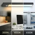 Lampka Podszafkowa Viro 3CCT 30cm Czarny Dwupak EKB2579 Eko-Light