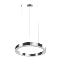 Lampa wisząca CIRCLE 40 cm - LED, ring nikiel szczotkowany ST-8848-40 NICKEL Step into Design