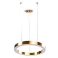 Lampa wisząca CIRCLE 60 -  LED, ring nikiel szczotkowany  ST-8848-60 NICKEL Step into Design