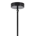 Lampa wisząca MODERN ORCHID-6 transparentno czarna 130 cm ST-1232-6 black transparent Step into Design