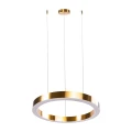Lampa wisząca CIRCLE 40+60 LED mosiądz na 1 podsufitce ST-8848-40+60 brass Step into Design