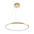 Lampa wisząca CIRCLE SLIM 60 cm - LED, ring złoty ST-10112P-D600 Step into Design