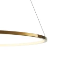 Lampa wisząca CIRCLE SLIM 80 cm - LED, ring złoty ST-10112P-D800 Step into Design