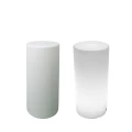 Lampa ogrodowa kolumna TUBE LED RGBW 16 kolorów 80 cm ES-DC030 Step into Design