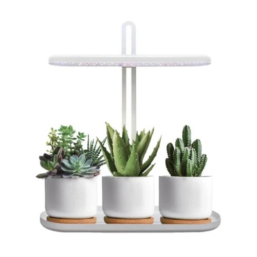 Lampa do upraw roślin 12W LED Bloom Kobi Design