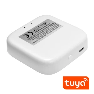 Bramka sterująca 2,4G FUT090 1602 DomenoLED