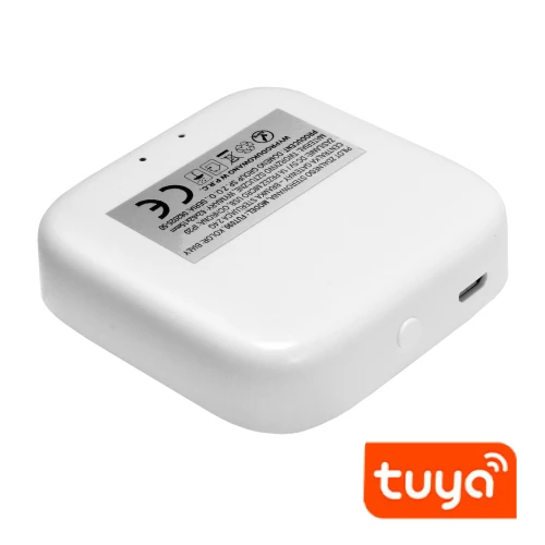 Bramka sterująca 2,4G FUT090 1602 DomenoLED