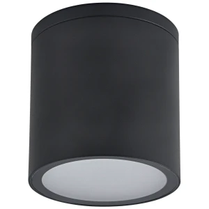 Lampa zewnętrzna OHIO sufitowa GU10 320056 Goldlux