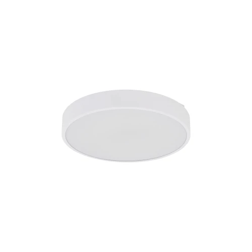 VELIS WHITE PLAFON LED 24W IP54 18279 TK Lighting