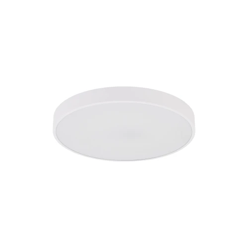 VELIS WHITE PLAFON LED 30W IP54 18283 TK Lighting
