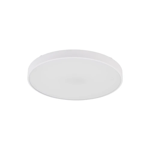 VELIS WHITE PLAFON LED 40W IP54 18287 TK Lighting
