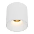 BLAZE WHITE CCT 18W 18159 TK Lighting