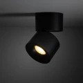 SPARK BLACK 10W 18146 TK Lighting