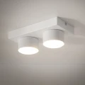 BRIX WHITE LAMPA SUFITOWA 2XGX53 11295 TK Lighting