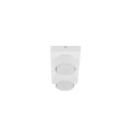 BRIX WHITE LAMPA SUFITOWA 2XGX53 11295 TK Lighting