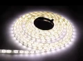 Taśma 120 LED 48W. Barwa Ciepły Biały. IP65. (5 metrów) EKPL1825 Eko-Light