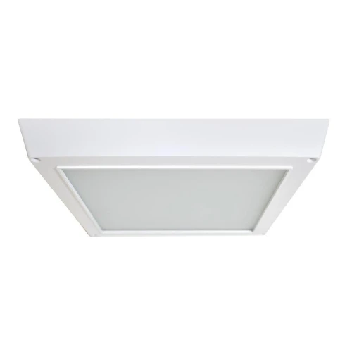 Plafon LED 20W KWADRAT barwa zimna EKP877 Eko-Light
