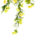 Roślina wisząca Forsycja 1750 62 cm EKKW2690 Eko-Light