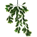 Roślina wisząca Eukaliptus 1760 70 cm EKKW2693 Eko-Light