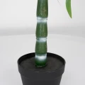 Roślina doniczkowa Drzewko bambusowe 5194 120 cm EKKW2696 Eko-Light
