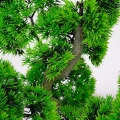 Roślina doniczkowa Bonsai 5210 60 cm EKKW2697 Eko-Light