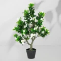 Roślina doniczkowa Jaśmin 5222 75 cm EKKW2699 Eko-Light
