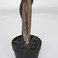 Roślina doniczkowa Drzewko figowca 5235 130 cm EKKW2702 Eko-Light
