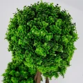 Roślina doniczkowa Drzewko topiary 5244 50 cm EKKW2704 Eko-Light