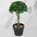 Roślina doniczkowa Drzewko bukszpanowe 5287 28 cm EKKW2708 Eko-Light
