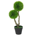 Roślina doniczkowa Drzewko sosna wydmowa 5054 55 cm EKKW2710 Eko-Light