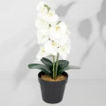 Roślina doniczkowa Storczyk 6400 38 cm EKKW2714 Eko-Light