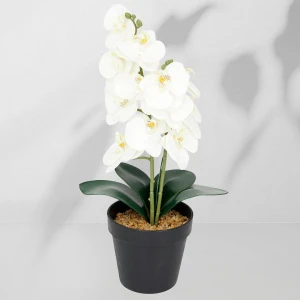 Roślina doniczkowa Storczyk 6400 38 cm EKKW2714 Eko-Light