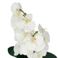 Roślina doniczkowa Storczyk 6400 38 cm EKKW2714 Eko-Light