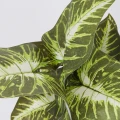 Roślina doniczkowa Maranta 6402 35 cm EKKW2716 Eko-Light