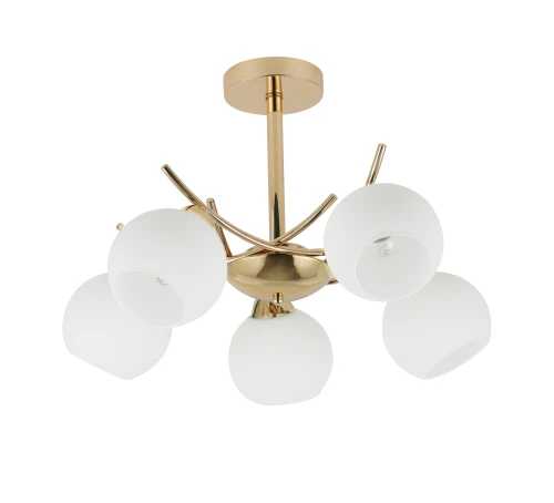 AMOS Lampa wiszaca złoty 5x40W E27 klosz biały 35-37497 Candellux