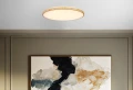 TENS lampa sufitowa plafon drew. 48W LED 3000/4000/6000K 59cm klosz biały, pilot 16-33949 Candellux