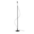 Lampa podłogowa IVY FLOOR DIMM Czarny AZ6749 AZzardo