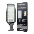 LAMPA ULICZNA PREMIUM 100W 4000K 130lm/W IP65 EC20405 Eco Light