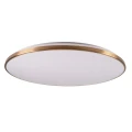 Plafon Goldlux KERN 80 LED złoty pilot 80W 3000K-6000K – 331922
