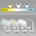 Lampka biurkowa Goldlux VINTO LED biała 3000K-6500K – 316622