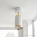 Lampa ścienno-sufitowa ALESSIA 1*GU10 biały + złoty 344298 Goldlux