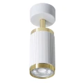 Lampa ścienno-sufitowa ALESSIA 1*GU10 biały + złoty 344298 Goldlux