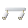 Lampa ścienno-sufitowa ALESSIA 2*GU10 biały + złoty 344304 Goldlux