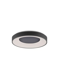 Lampa sufitowa ANIKA 1 - punktowa szary LeuchtenDirekt - 14326-18