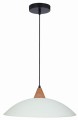 OTRIKS LAMPA WISZĄCA 40 1X60W E27 | Candellux 31-63557