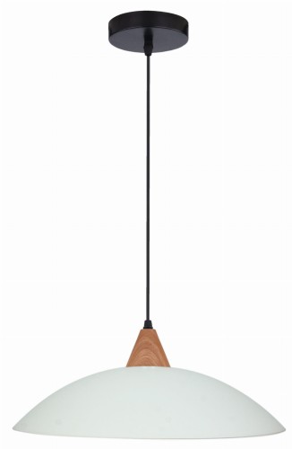 OTRIKS LAMPA WISZĄCA 40 1X60W E27 | Candellux 31-63557