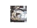 Lampa sufitowa / plafon BURN 2 chrom / kryształ AZ0700 Azzardo