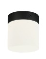 Lampa sufitowa IP44 CAYO do łazienki mała Nowodvorski Lighting
